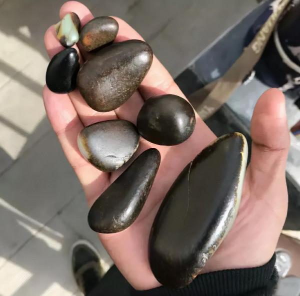 800多萬成交！這種“黑美人”絕對值得你收藏