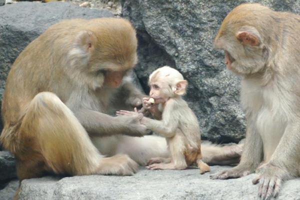 20個冷知識：別不信，都是真實的