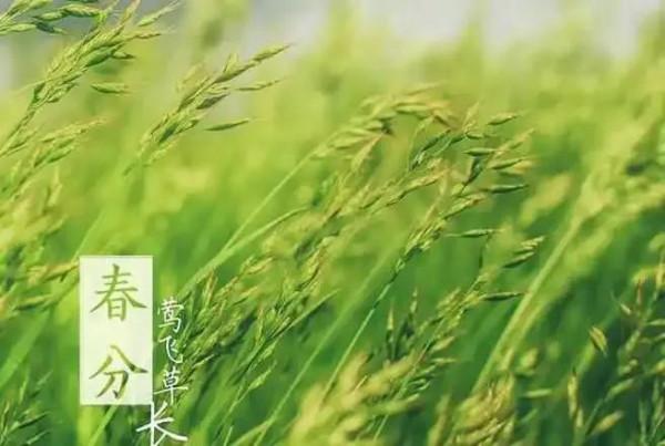 二十四節氣：中國傳統文化，上古農耕文明的產物，你知曉多少？