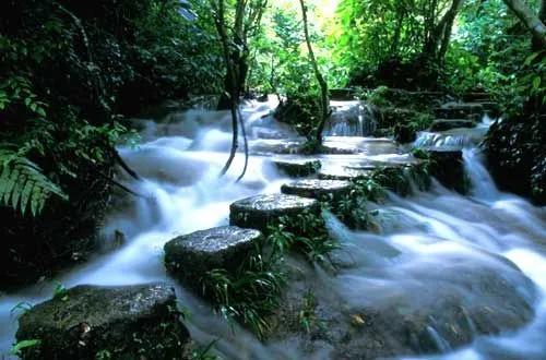 戴啟章散文：追尋我心中的綠寶石 誦讀：喬楠