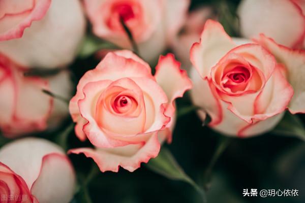 做好這三點，掌握人生的方向盤，活出純粹真我