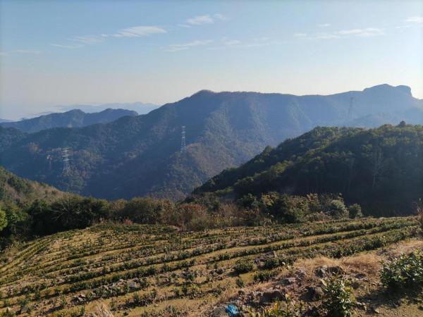 綠水青山，金山銀山(2)（12月19日）