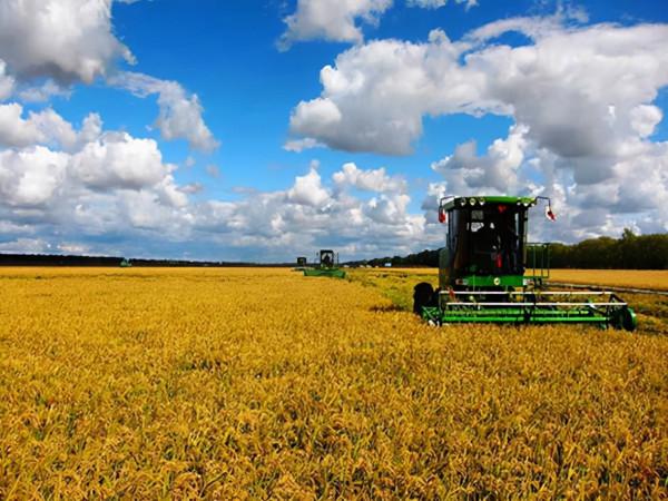 今年我國多地水患,通報卻稱十年中災情最輕,產糧也更多,咋回事 今年我國多地水患,通報卻稱十年中災情最輕,產糧也更多,咋回事