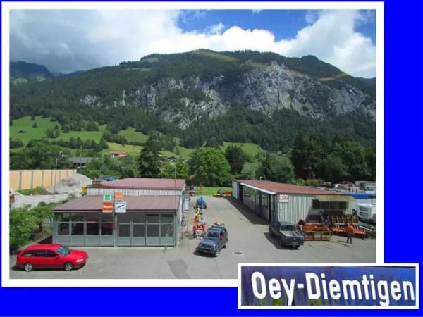 瑞士之行——從蒙特勒到格林瓦爾德