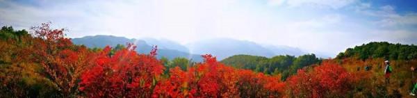 太行山最美的秋色在這裡