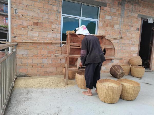 這樣的風機你有見過嗎？你說明你也不年輕了？