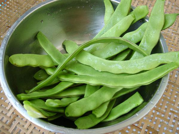 冬天大魚大肉靠邊站，俺家最愛吃這道燉菜，好吃實惠天天吃都不膩