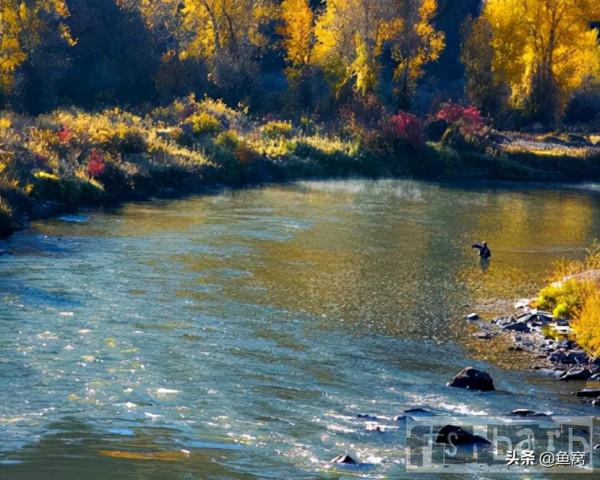美國釣魚網sniper:我和飛蠅釣的緣分2 美國釣魚網sniper:我和飛蠅釣的緣分2