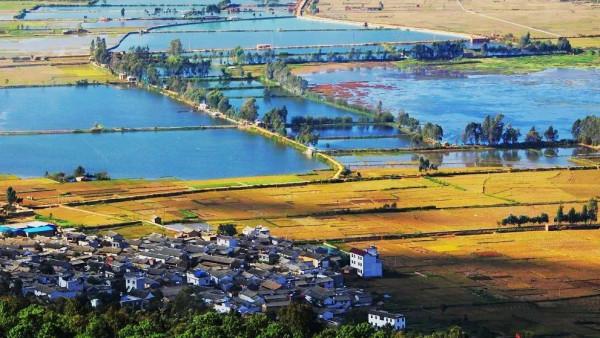 上帝愛雲南，我愛在雲南石屏，吃豆腐