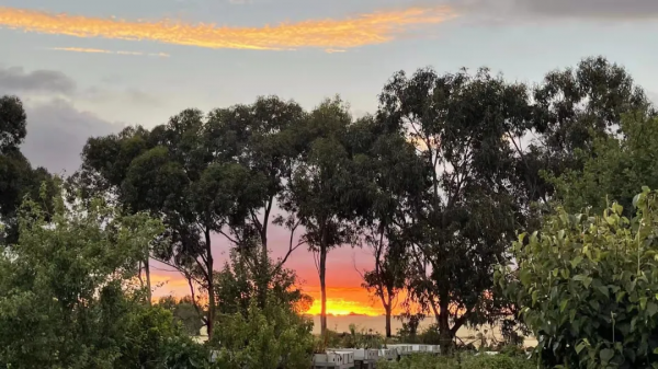 離婚後才發現跟前妻生育的孩子不存在自然血親關係，如何處理？