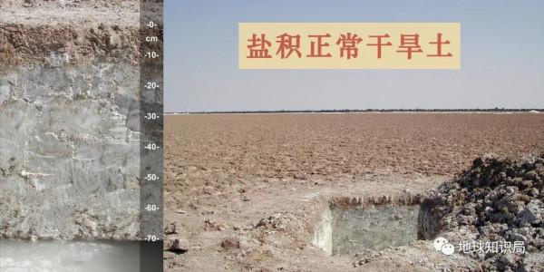 東北鹽鹼化，令人非常擔憂