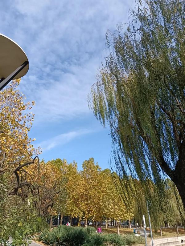 唯有美食和美景不可辜負 唯有美食和美景不可辜負