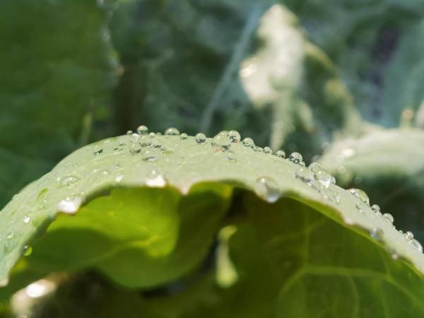 生活累了，不妨去快樂裡躲一躲