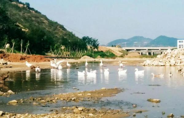 鄉村旅遊產業如何為遊客建構&OpenCurlyDoubleQuote;個人化的、值得回憶&rdquo;的旅遊體驗