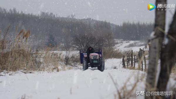 衝著張嘉倪的肩頸線，我追了這部戲