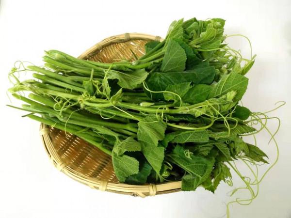 31種野菜大合集，帶你認識不同的野菜和吃法，你想要的野菜這裡有