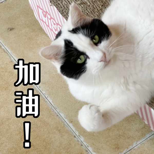 辛丑年末的冬天，是寶藍色