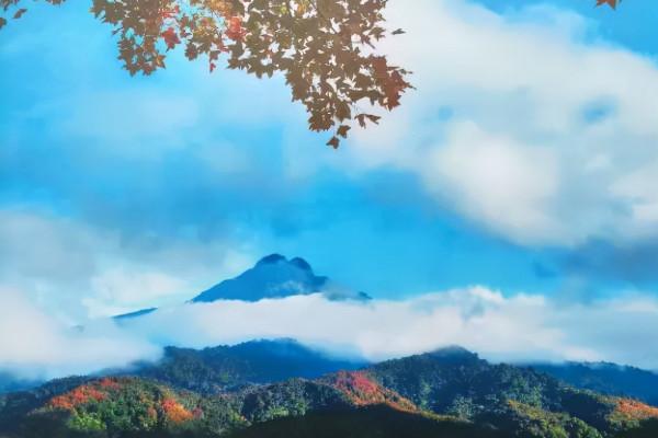 海南的旅居讓很多朋友們也都慕名而來 海南的旅居讓很多朋友們也都慕名而來