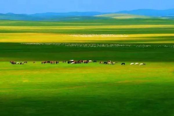 超出你想象的空中草原