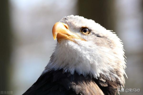 俄羅斯動起來了！超音速導彈、反衛星試驗，啟動反空天戰機專案