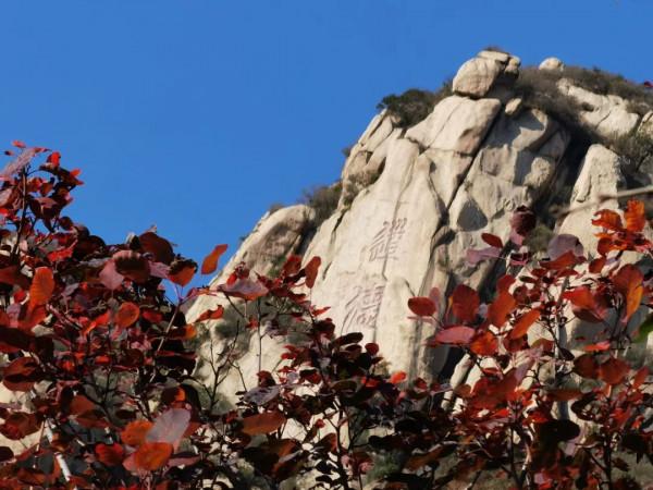 鳳凰嶺彩葉進入最佳觀賞期