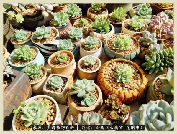 用一份熱愛，溫暖一段時光