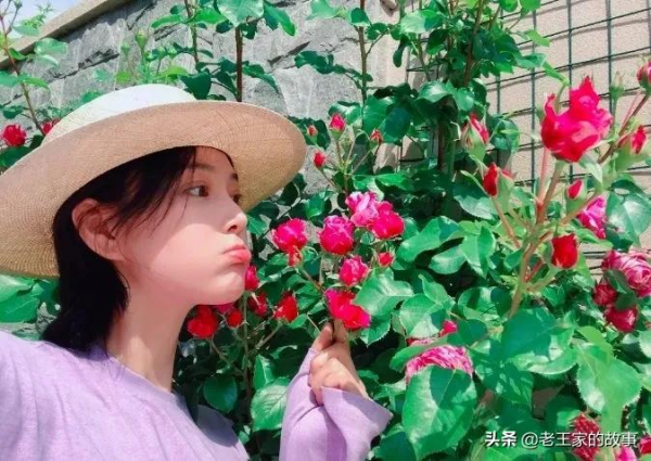 自打張馨予痴迷種菜當“農婦”後，自己家的院子，居然火了