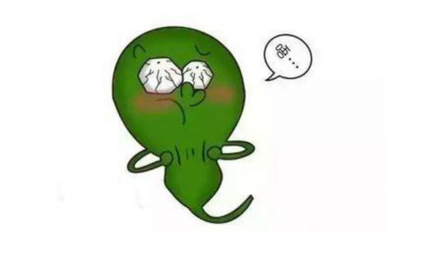 “冬季到，膽結石鬧”那麼治療膽結石到底是切還是保？