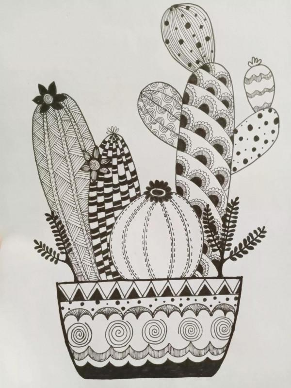 《仙人掌》線描畫繪畫過程