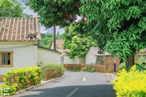 北海流下村,想念夏天的樣子 北海流下村,想念夏天的樣子