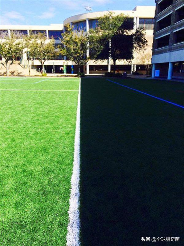 35張“活久見”的完美圖片，強迫症瞬間被治癒了