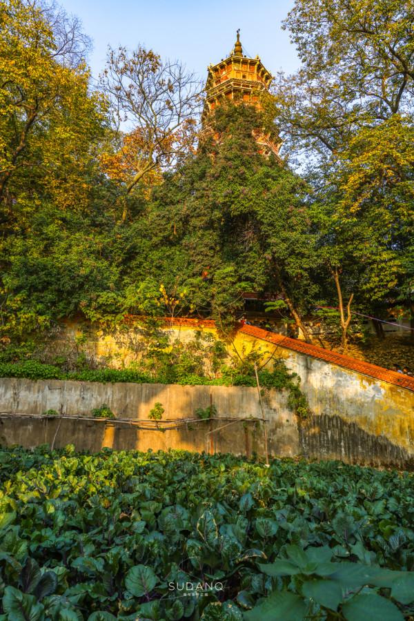 武漢寶通禪寺：在千年皇家寺院賞秋，是什麼感覺？