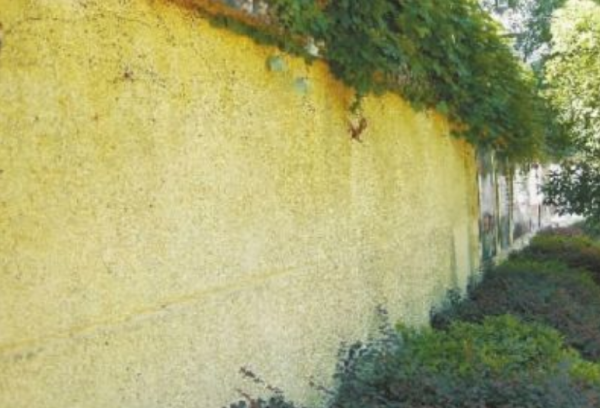 1915年,毛澤東想要退學,楊昌濟卻說“響鼓不用重錘”,有何深意 1915年,毛澤東想要退學,楊昌濟卻說“響鼓不用重錘”,有何深意