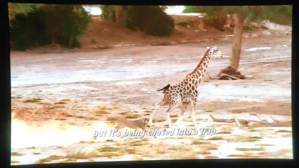 漫聊頭戴影院，清晰and輕量—一站式解決，GOOVIS酷睿視雙機體驗