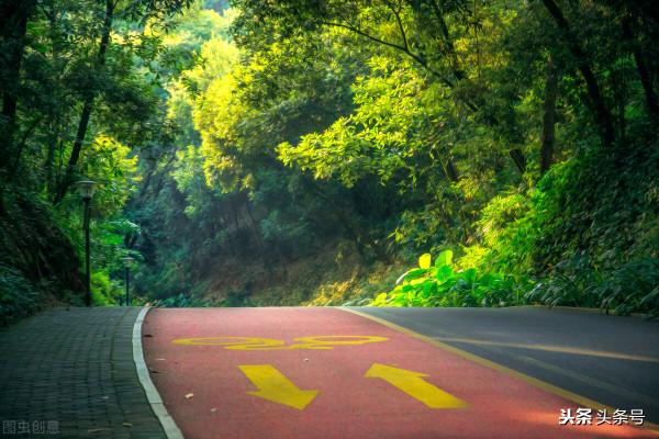 愛走神的孩子注意了,想象力才是學習記憶的最佳夥伴 愛走神的孩子注意了,想象力才是學習記憶的最佳夥伴