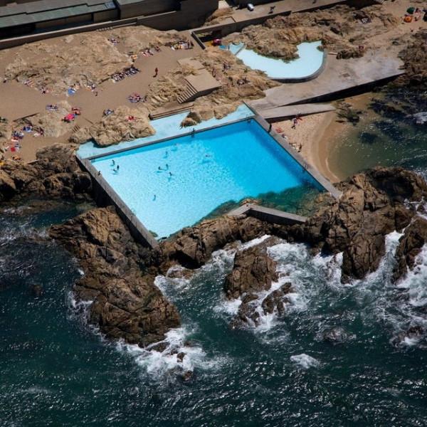 30張活久見的照片，消防員給昏迷的狗做人工呼吸，猩猩戴墨鏡耍酷