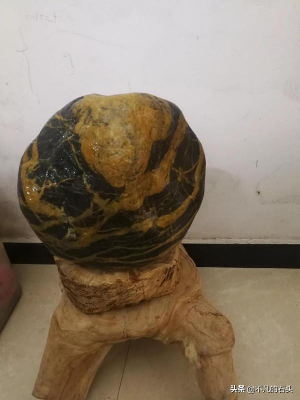 湖南小夥到一塊金包鐵金紋石，上面有一個龍頭圖案神龍見首不見尾