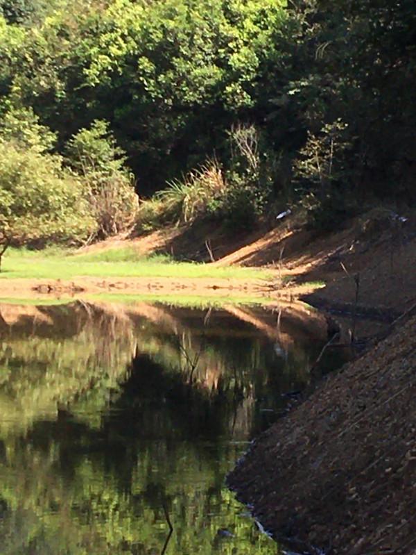 釣魚時間裡發現不認識的物種 釣魚時間裡發現不認識的物種