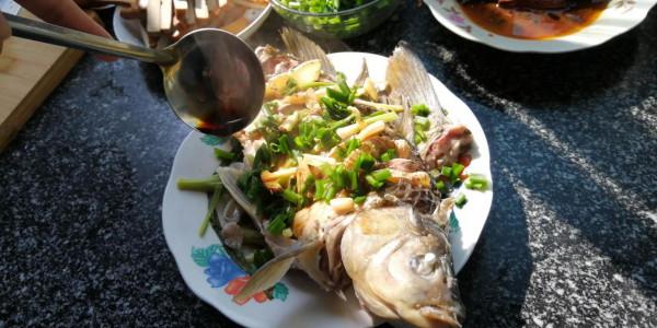 呈現一道清蒸鯉魚 呈現一道清蒸鯉魚