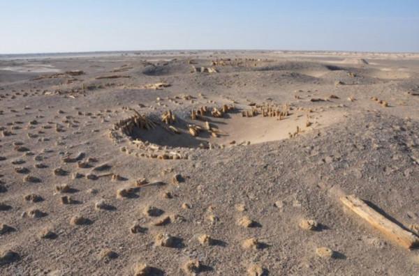 羅布泊重新碧波盪漾，出現一萬多平方公里的湖泊，水從哪兒來？