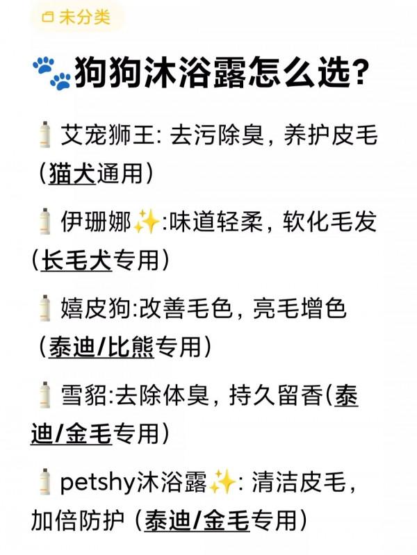 冬天給狗狗洗澡時這點要做對