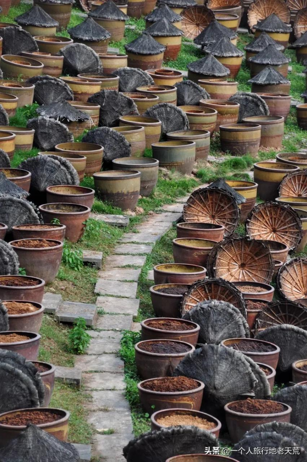 苦等5年終通高鐵！這座比成都還巴適的酒城，為了吃也要去一趟