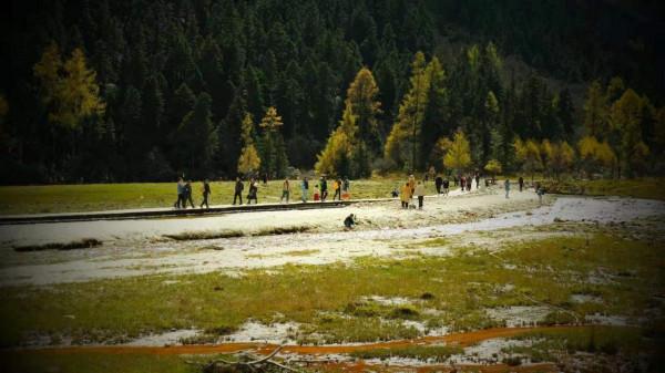 川西畢棚溝之旅,休想讓我交一毛錢的智商稅 川西畢棚溝之旅,休想讓我交一毛錢的智商稅