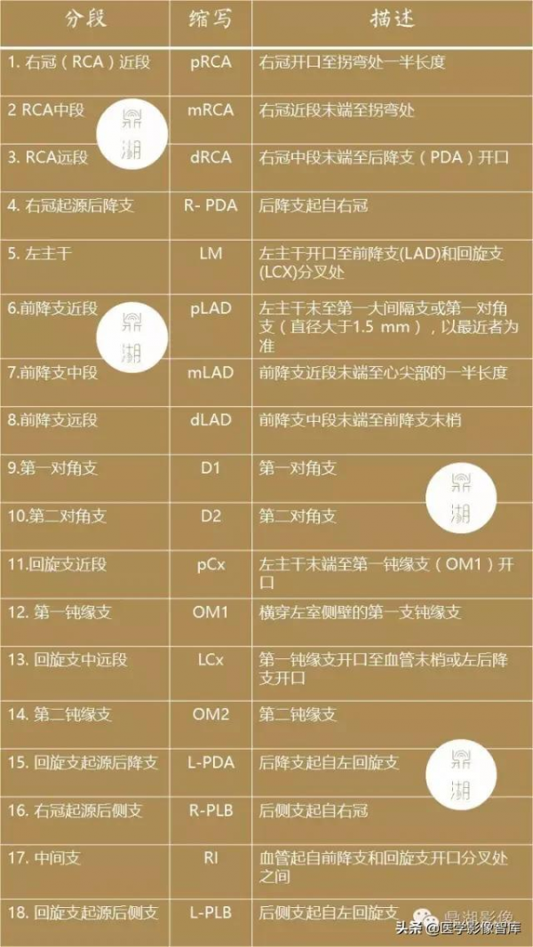 CT斷層解剖圖譜最全總結「推薦收藏」 CT斷層解剖圖譜最全總結「推薦收藏」