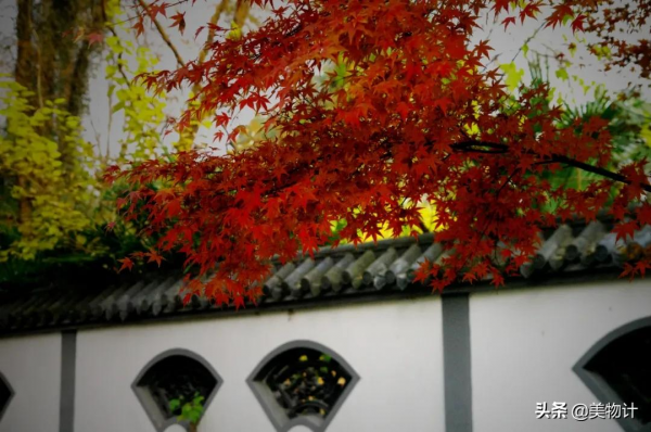 紅葉,入眼成詩,入心為情 紅葉,入眼成詩,入心為情