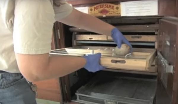 一個男人與一隻鶴的曠世愛情：她一生只愛他一人