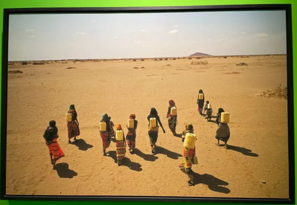 生機勃勃的地球：每一個生命都同等燦爛