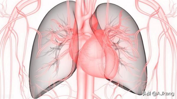 心臟病是女性第一殺手。那麼為什麼以女性為中心的研究如此之少？