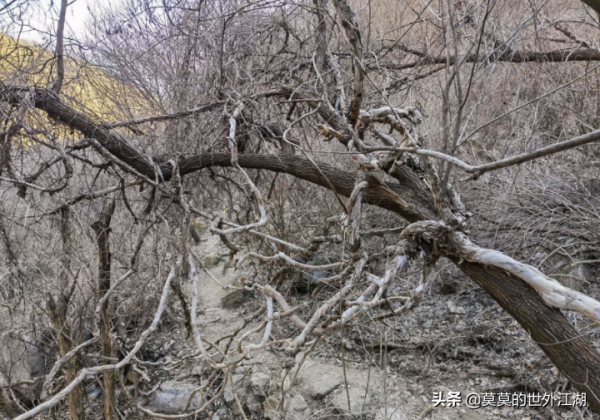 北京懷柔，縱橫交錯的森林風光，冬季別樣的原生態，更有冰瀑奇景