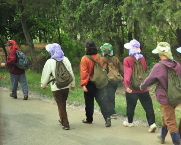 朝鮮觀察，朝鮮百姓為什麼喜歡步行？